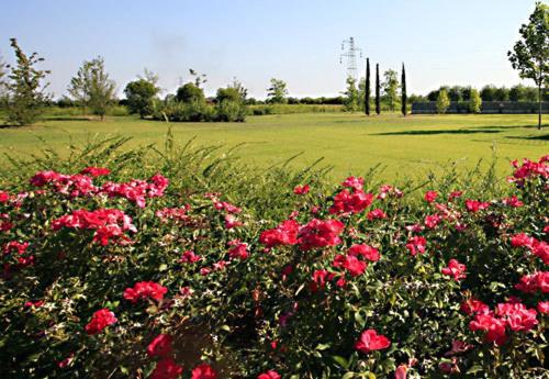 Country House Letizia Verona Eksteriør billede